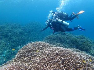 沖縄　ダイビング　残波　ボート