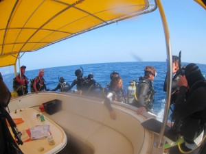 沖縄　ダイビング　粟国　ドリフト