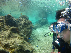 沖縄　ダイビング　真栄田岬