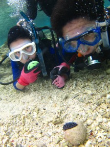 沖縄　ダイビング　真栄田岬