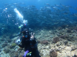 沖縄　ダイビング　粟国島