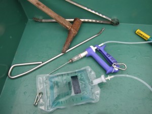 沖縄 ダイビング オニヒトデ レイシガイダマシ 駆除