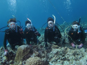 沖縄　ダイビング