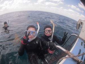 沖縄　ダイビング