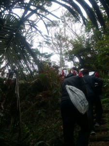 沖縄　ダイビング　石川岳　修学旅行