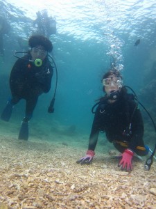 沖縄　ダイビング