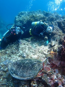 沖縄　ダイビング