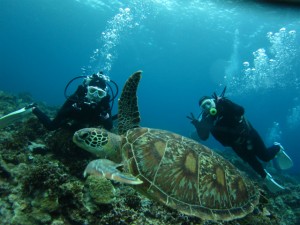 沖縄　ダイビング