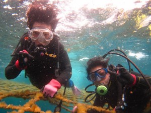 沖縄　ダイビング　ジンベエザメ