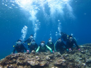 沖縄　ダイビング　慶良間　アルファダイブ