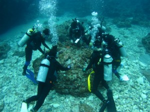 沖縄　ダイビング