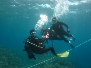 沖縄　ダイビング