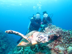 沖縄　ダイビング