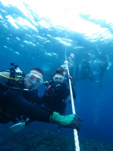 沖縄　ダイビング