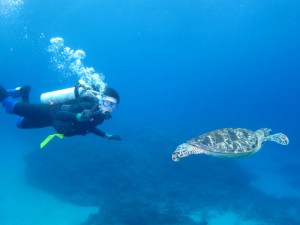沖縄　ダイビング