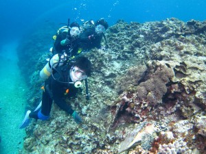 沖縄　ダイビング