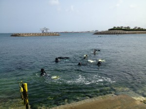 沖縄　ダイビング　ネイチャーワークス