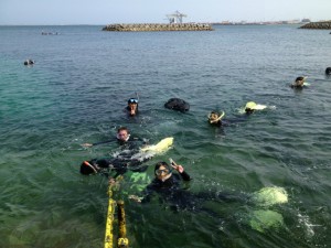 沖縄 ダイビング ネイチャーワークス