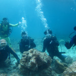 沖縄　ダイビング　慶良間