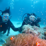 沖縄ダイビング