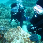 沖縄　ダイビング