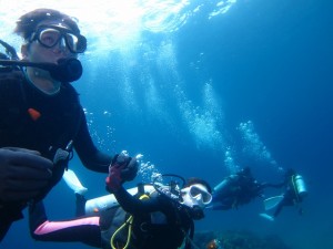 沖縄　ダイビング