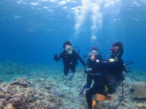 沖縄　ダイビング　慶良間