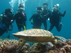 沖縄　ダイビング