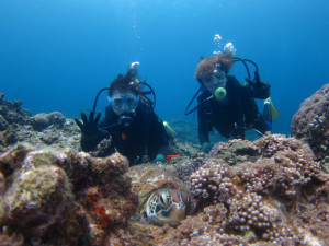 沖縄　ダイビング　慶良間　アオウミガメ