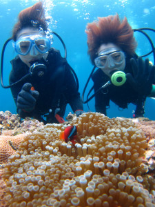 沖縄　ダイビング　慶良間　ハマクマノミ