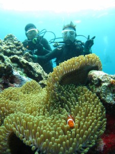 沖縄　ダイビング　慶良間　カクレクマノミ