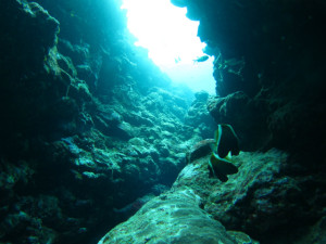 沖縄　ダイビング　慶良間