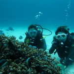 沖縄　ダイビング　慶良間