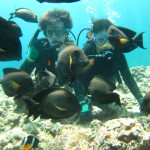 沖縄　ダイビング　青の洞窟