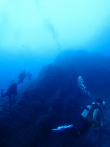 沖縄 ダイビング