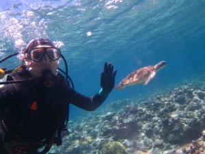 沖縄　ダイビング