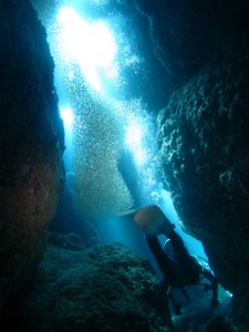 沖縄　ダイビング