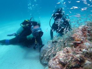 沖縄　ダイビング