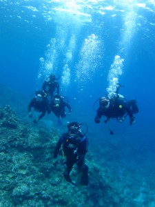 沖縄　ダイビング