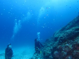 沖縄　ダイビング