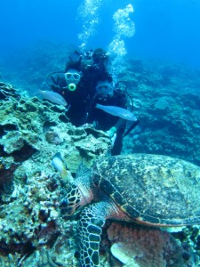 沖縄　ダイビング