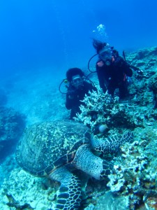 沖縄　ダイビング