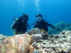 沖縄 ダイビング ウミガメ 慶良間