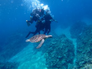 沖縄　ダイビング