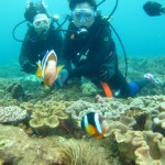 沖縄　ダイビング　砂辺