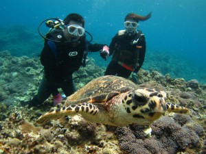 沖縄　ダイビング