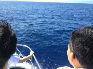 沖縄　ダイビング