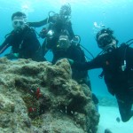 沖縄　ダイビング　慶良間