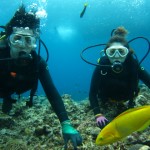 沖縄　ダイビング　慶良間