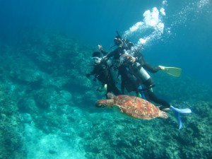 沖縄　ダイビング